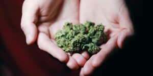 Things To Consider Before Entering A Cannabis Dispensary