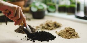 How Can You Extend the Shelf Life of Cannabis?