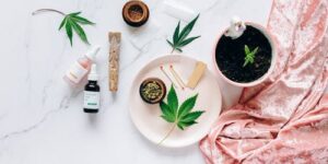 Drying Weed: 6 Proven Techniques